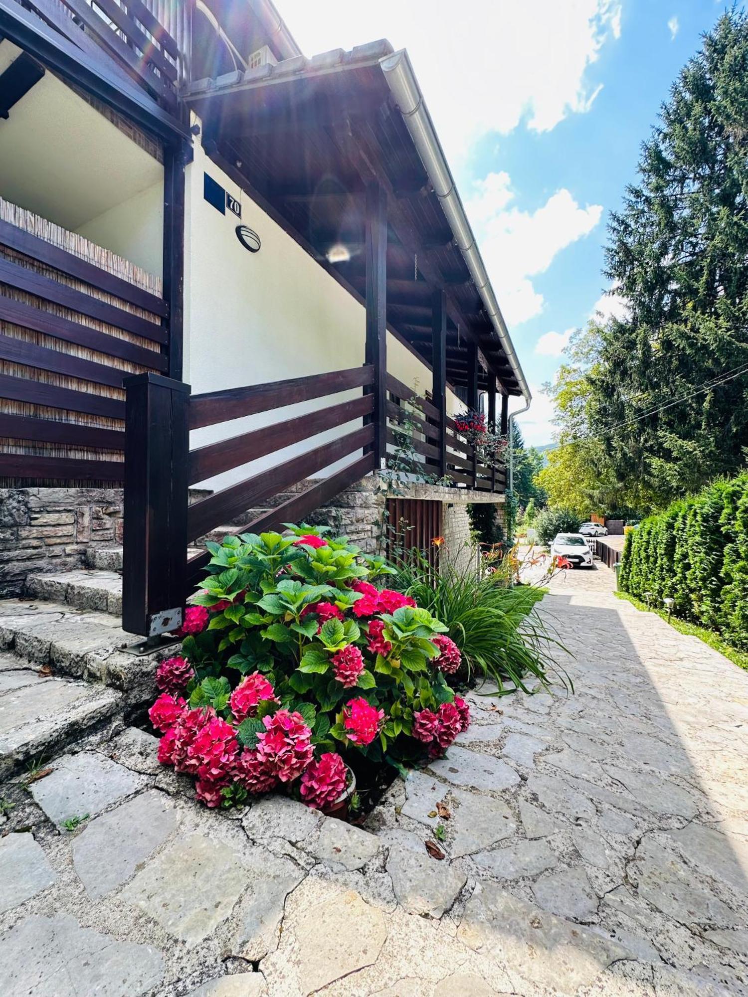 פליטויקה סלו B&B Villa Plitvica מראה חיצוני תמונה